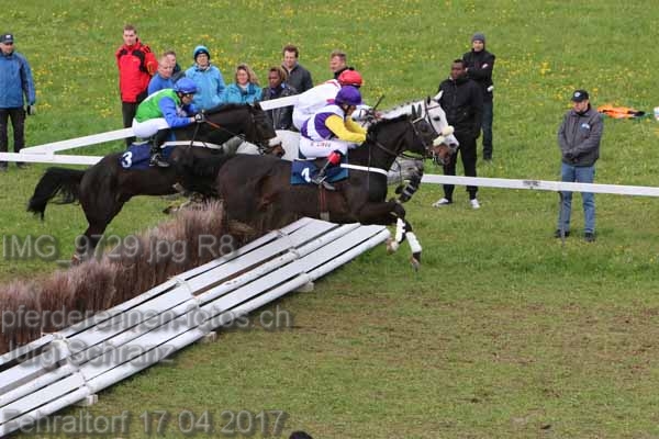 IMG 9729.jpg R8 prot